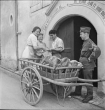 WW 2: farming camp; volunteers during the occupation of the border, 1939.