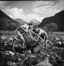 Trainees saw up tree; 1943.