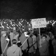 Protest demonstration at the Russian embassy, Berne 1956.