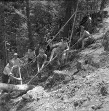 Isenfluh, volunteers building access road to mountain village; 1959.
