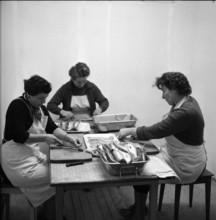 Preparing whitefish at the Lake Constance, 1957.