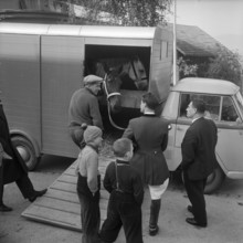 Autumnal hunting in Elgg, 1958.