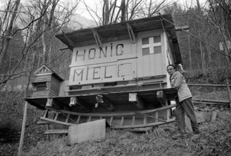 Georg Zwyssig beside his apiary 1972.
