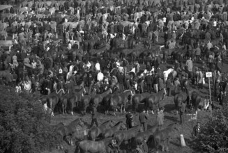 Horse market of Chaindon-Reconvilier, 1969.