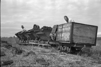 Cutting peat; trolley loaded with briquettes; 1940.