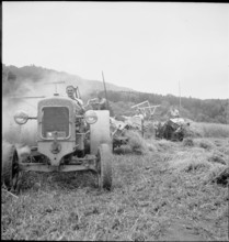 WW 2: oat crop, Allmend 1942.