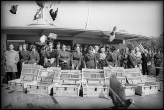 Women soldiers with carrier pigeons, performance on excursion boat, Zurich 1967.