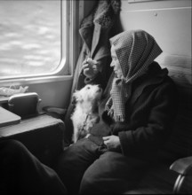 Refugee train, Mrs Wegmann with dog named Boby 1956.