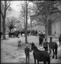 Blessing of the horses and mules in Valais village Turtmann, 1940.
