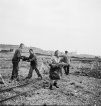 Peat Diggers near Boswil, 1945.