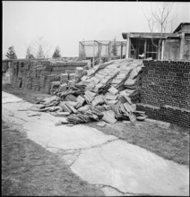 Earthquake in the Valais, 1946.