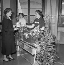 Women are voting consultatively at a federal voting in their municipality.