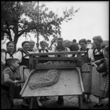 Breaking flax in Zaeziwil, 1956.