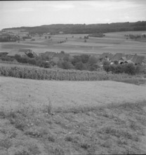 Champmartin; farming village.