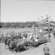 48th Marche-Concours Saignelegier, parade, 1951.
