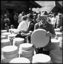 Distribution of cheese in the Justistal Valley, 1964.