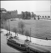 Rape field in the city centre; 1944.