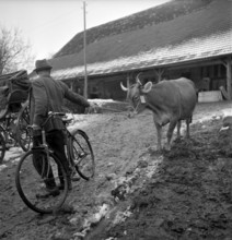 Appenzell; farm being auctioned.