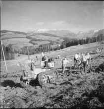 Cereal production of the municipality of Berne.