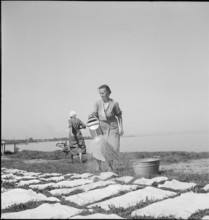 Women pouring lake water on laundry; washing at Lake Constance, 1944.