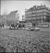 Extended war cultivation in the city centre; 1941.
