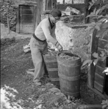Heidenwein: winegrower with wine tub, 1956.