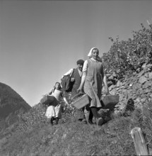 Heidenwein: vintage, 1956.