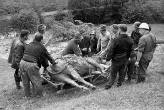 Landslide, Marbach LU 1969: recovering a dead cow.