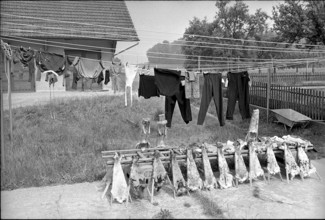 Agasul: Drying clothes and rabbit skins 1969.