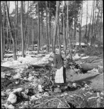 Woman, collecting firewood; 1942.
