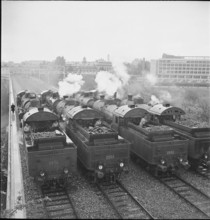 Steam locomotives on railway bridge, Berne 1939.