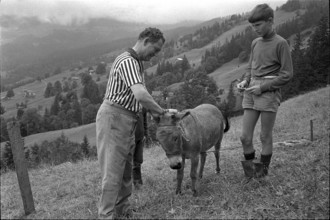 The Winnetou Ranch disposes of 121'000 m2 land, grassland and forest where children from 7 to 12