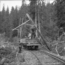 Heavy foehn storm caused fally of pylon; Murren 1962.