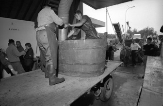 Vintage in Hallau, 1967.