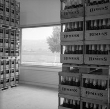 New wine cellars of Rahm company in the Klettgau, 1964.