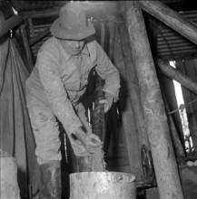 Ernst Glanzmann searching for minerals; 1954.