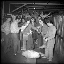 Valais, Grone coal mine, miners in the dressing room; 1957.
