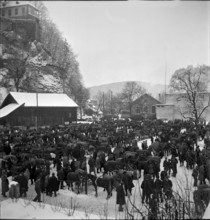 9th Burgdorf inland horse market with market hall, 1944.