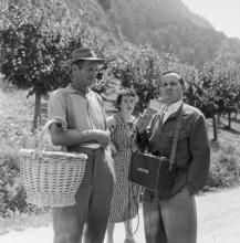 Radio Reporter, Apricot Harvest in Valais, 1959.