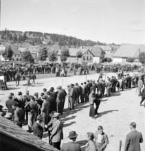 40th Marche-Concours Saignelegier, presentation, 1943.