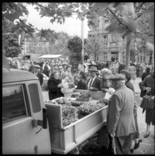 Flower market at Helvetiaplatz in Zurich 1958.