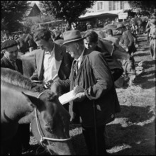 Horse market of Chaindon-Reconvilier, 1954.