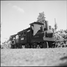 50th Marche-Concours Saignelegier, children's play carriage, 1953.