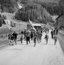 Transport of the maypole in Praz-de-Fort, 1954.