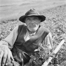 Old farmer in Obersaxen, circa in 1950.