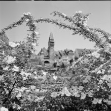Village Bremgarten in springtime, 1957.
