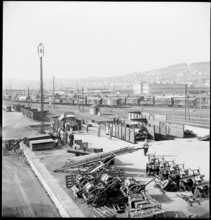Potato collection in Zurich, 1946.