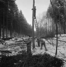 Construction of Autobahn Zurich - Chur near Richterswil, 1960.