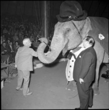 Charles Chaplin with elephant Sandry and Rolf Knie sen. at Circus Knie, 1957.