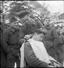 Internierter; Haare.